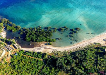 OFFICIAL REBUTTAL TO KINNARA / ADRIAN CAMPBELL CLAIMS OFFICIAL REBUTTAL TO KINNARA / ADRIAN CAMPBELL CLAIMS